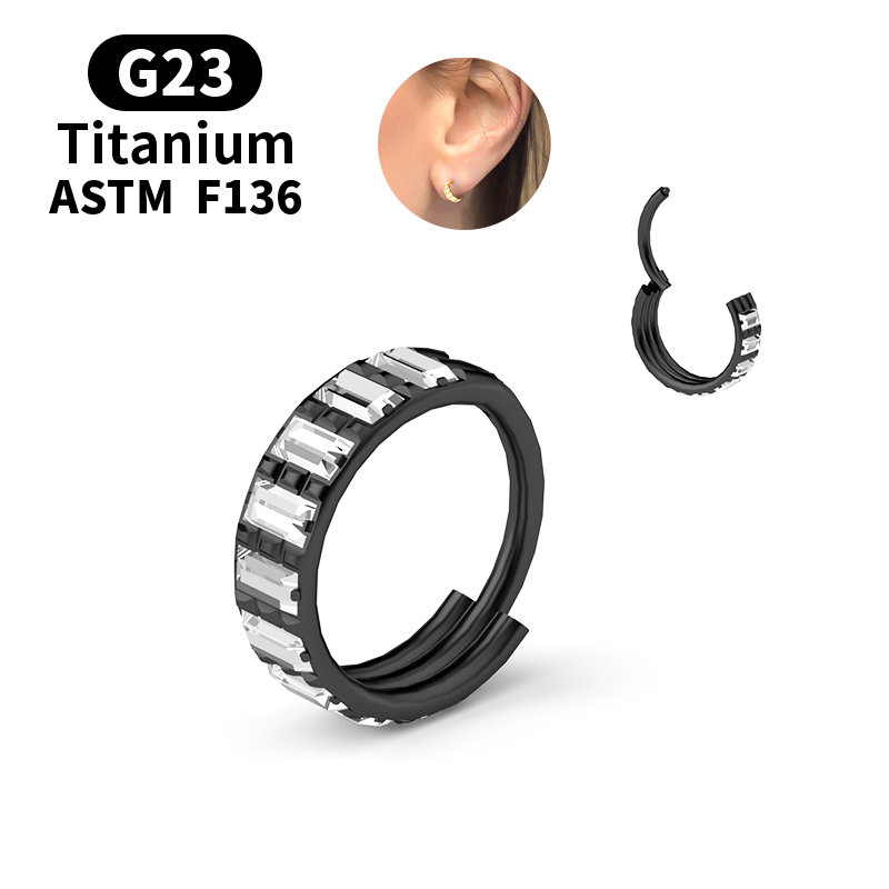 G23 Titan Zirkon Klappbarer Se – Body Jewelry Nipple Rings Bewertung und Preis